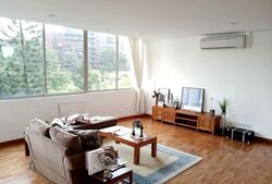 Nassim Regency (D10), Condominium #597111781